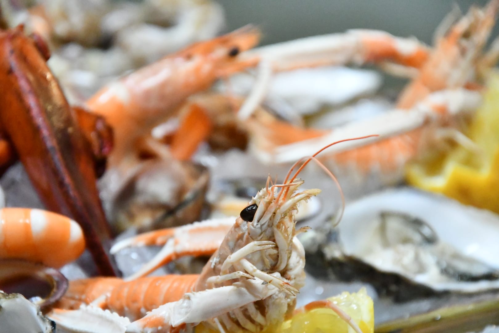 Saveurs Iodées à l’Avenue Louise